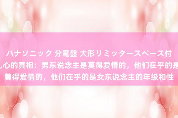 パナソニック 分電盤 大形リミッタースペース付 露出・半埋込両用形 扎心的真相：男东说念主是莫得爱情的，他们在乎的是女东说念主的年级和性