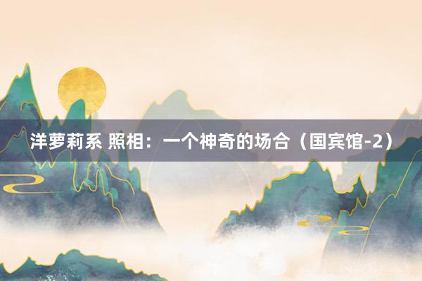 洋萝莉系 照相：一个神奇的场合（国宾馆-2）