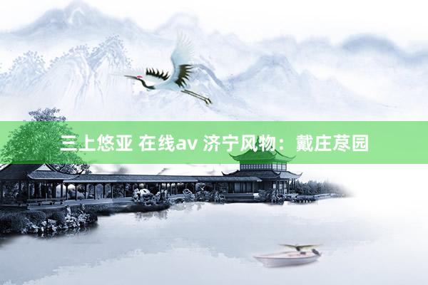 三上悠亚 在线av 济宁风物:戴庄荩园