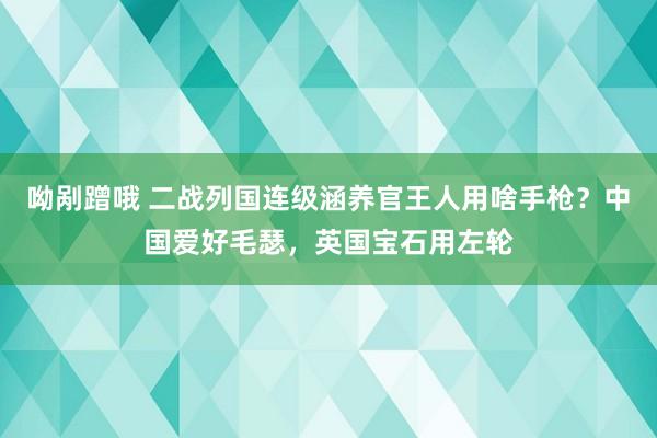 呦剐蹭哦 二战列国连级涵养官王人用啥手枪？中国爱好毛瑟，英国宝石用左轮