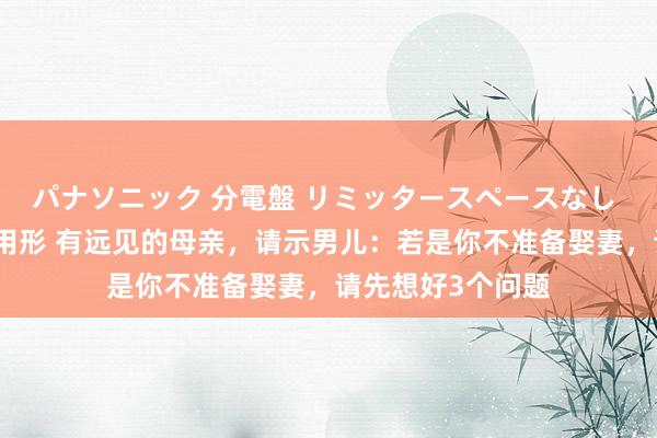パナソニック 分電盤 リミッタースペースなし 露出・半埋込両用形 有远见的母亲，请示男儿：若是你不准备娶妻，请先想好3个问题