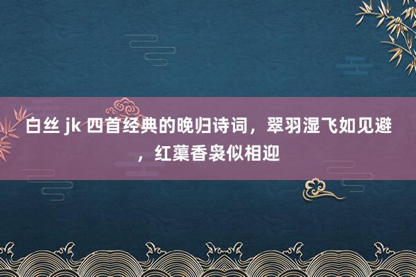 白丝 jk 四首经典的晚归诗词，翠羽湿飞如见避，红蕖香袅似相迎