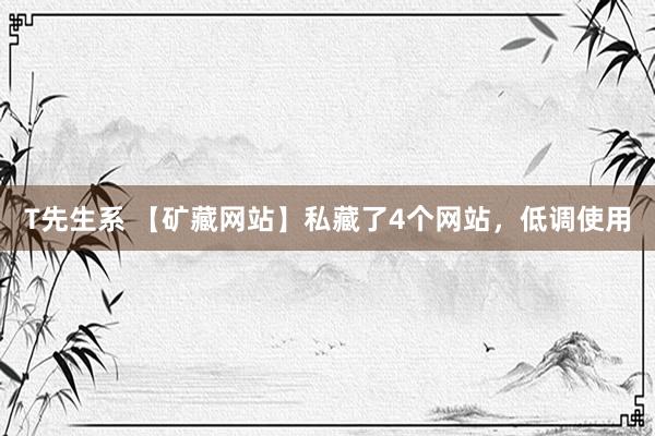 T先生系 【矿藏网站】私藏了4个网站，低调使用