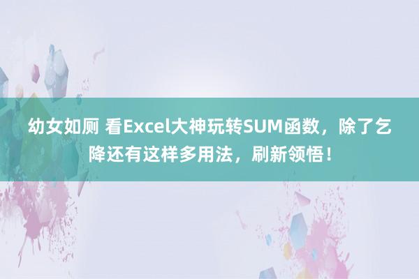 幼女如厕 看Excel大神玩转SUM函数，除了乞降还有这样多用法，刷新领悟！