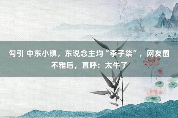勾引 中东小镇，东说念主均“李子柒”，网友围不雅后，直呼：太牛了
